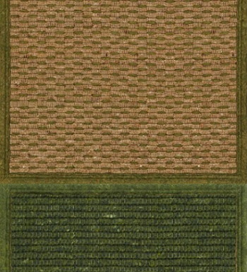 Teppich Braun und Grün