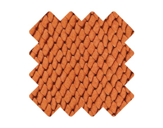 Sample for «Viscum Orange» rug
