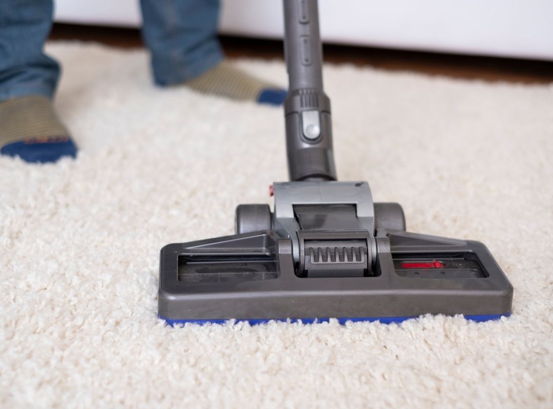 Preventing moth infestation: Cleaning the rug